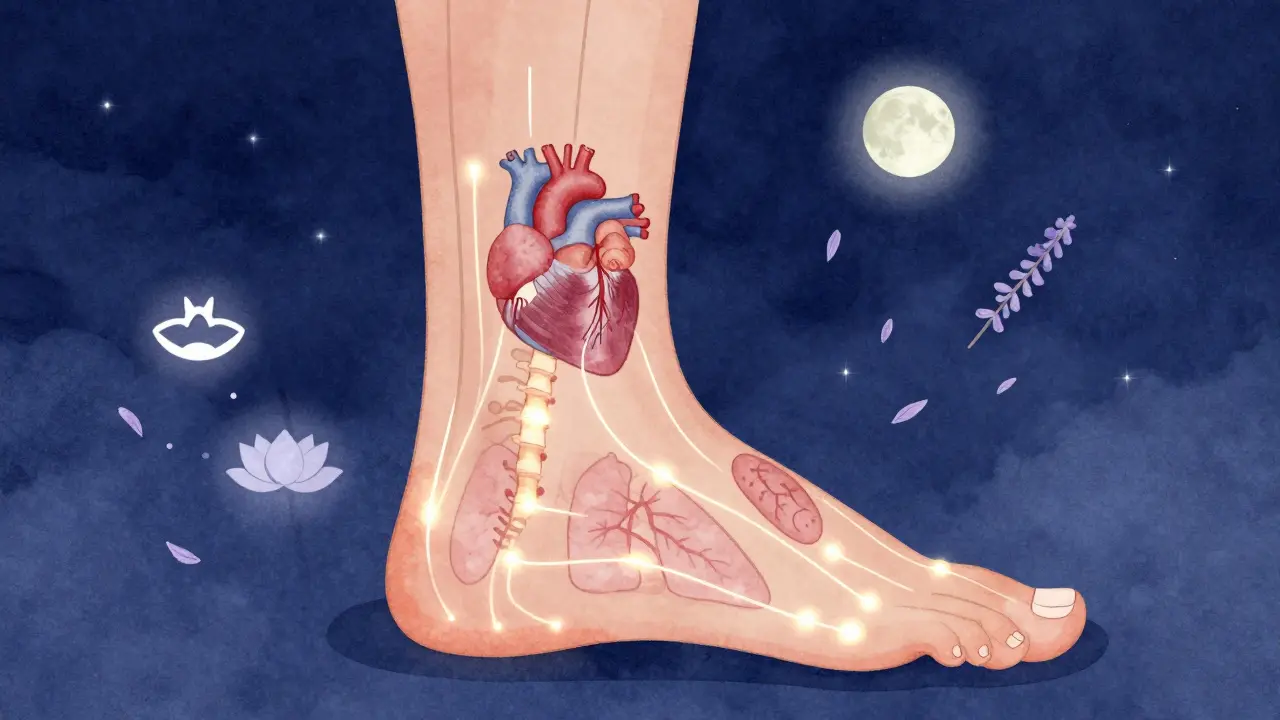 An artistic foot map with glowing pathways connecting pressure points to internal organs, surrounded by calming natural elements.